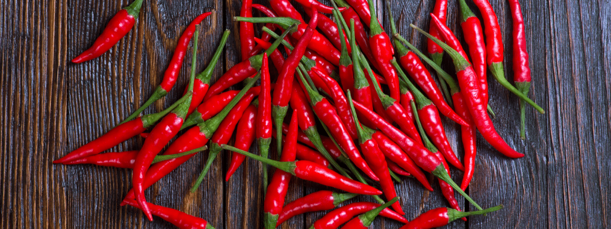 czerwona papryka chilli na desce rzeźni w krakowie papryka chilli czerwona na desce w restauracji rzeźnia kraków